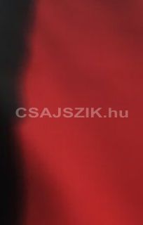 Laler szexpartner +36 30 275 1137 fénykép 1.