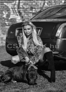 Szofia szexpartner +36 30 086 7377 fénykép 2.