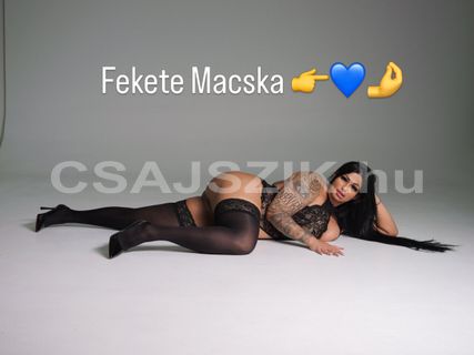 Fekete macska szexpartner +36 70 366 6128 fénykép 4.