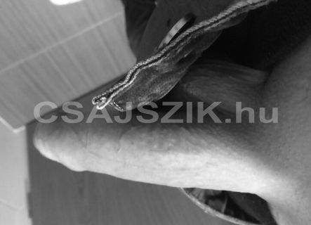 milfhunter szexpartner +36 30 209 6775 fénykép 5.