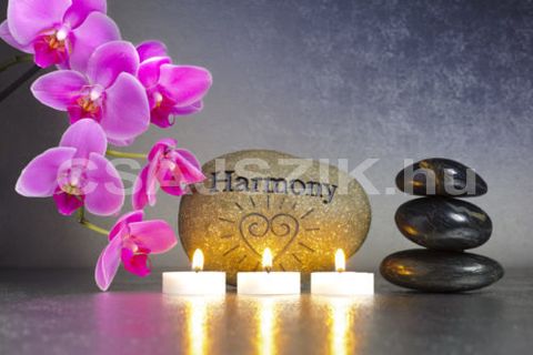 Vivi szexpartner +36 70 225 3719 fénykép 42.