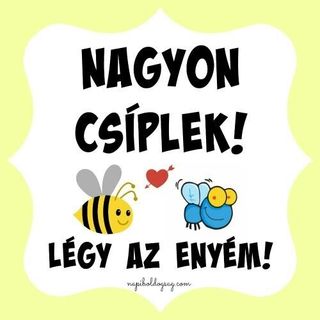 Zozo szexpartner +36 30 564 8507 fénykép 4.