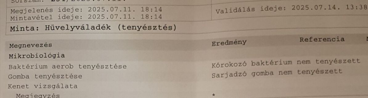 Vica szexpartner +36 30 873 7153 fénykép 16.